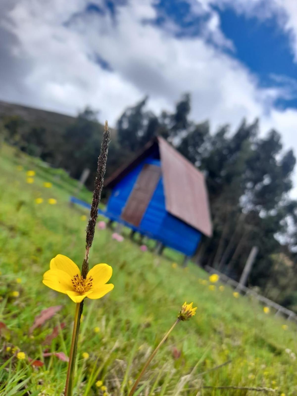 San Francisco - Cabana, Teepee & Zona De Lodge *